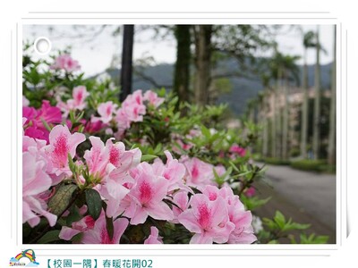 【校園一隅】春暖花開02